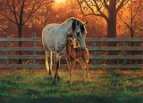 Quiet Time - Chris Cummings | Cobble Hill | 500 Pieces | Jigsaw Puzzle