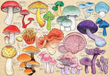 Mushroom Mania - Mirri Rowland | House Of Puzzles | 1000 Pieces | Jigsaw Puzzle