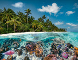 A Dive In The Maldives | Ravensburger | 2000 Pieces | Jigsaw Puzzle - Puzzles +