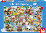 Animal Selfies - Howard Robinson | Schmidt | 200 Pieces | Jigsaw Puzzle - Puzzles +