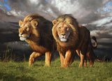 Approaching Storm - Steve Burgess | Cobble Hill | 1000 Pieces | Jigsaw Puzzle - Puzzles +