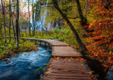 Autumnal Wood Trail | Beautiful Walkways | Ravensburger | 1000 Pieces | Jigsaw Puzzle - Puzzles +