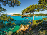 Beautiful View | Ravensburger | 500 Pieces | Jigsaw Puzzle - Puzzles +