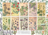 Botanicals by Verneuil - Maurice Pillard Verneuil | Cobble Hill | 1000 Pieces | Jigsaw Puzzle - Puzzles +