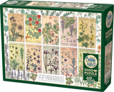 Botanicals by Verneuil - Maurice Pillard Verneuil | Cobble Hill | 1000 Pieces | Jigsaw Puzzle - Puzzles +