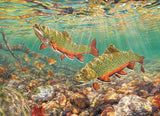Brook Trout - Beth Hoselton | Cobble Hill | 1000 Pieces | Jigsaw Puzzle - Puzzles +