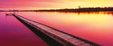 Canning River - Western Australia | Mark Gray | Schmidt | 136 Pieces | Panorama Jigsaw Puzzle - Puzzles +