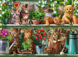 Cats On The Shelf | Ravensburger | 500 Pieces | Jigsaw Puzzle - Puzzles +