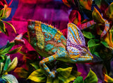 Chameleon | Colourful Animals | Ravensburger | 500 Pieces | Jigsaw Puzzle - Puzzles +