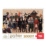 Character Collection | Harry Potter | TOI | 1000 Pieces | Panoramic Jigsaw Puzzle - Puzzles +
