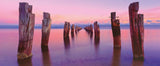 Clifton Springs - Victoria | Mark Gray | Schmidt | 136 Pieces | Panorama Jigsaw Puzzle - Puzzles +