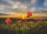 Cloudberries - Alexander Von Humboldt | Heye | 1000 Pieces | Jigsaw Puzzle - Puzzles +