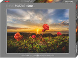 Cloudberries - Alexander Von Humboldt | Heye | 1000 Pieces | Jigsaw Puzzle - Puzzles +