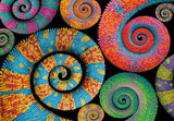 Curly Tails | Colourbloom Collection | Clementoni | 500 Pieces | Jigsaw Puzzle - Puzzles +
