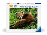 Cute Red Panda | Ravensburger | 500 Pieces | Jigsaw Puzzle - Puzzles +