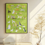 Dog Party | Botop Fusion | 1000 Pieces | Jigsaw Puzzle - Puzzles +