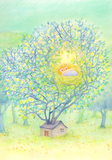 Dream | Botop Blackcard | 1000 Pieces | Jigsaw Puzzle - Puzzles +