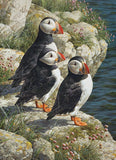 Fisherman's Wharf - Carl Brenders | Cobble Hill | 500 Pieces | Jigsaw Puzzle - Puzzles +