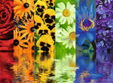 Floral Reflections | Ravensburger | 500 Pieces | Jigsaw Puzzle - Puzzles +