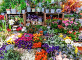 Flower Market - France | Colourful Markets | Ravensburger | 500 Pieces | Jigsaw Puzzle - Puzzles +
