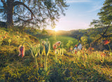 Four Seasons | Ravensburger | 4 X 500 Pieces | Jigsaw Puzzle - Puzzles +
