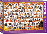 Halloween Pets | Eurographics | 1000 Pieces | Jigsaw Puzzle - Puzzles +