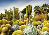 Huntington Desert Garden - Beautiful Gardens | Ravensburger | 1000 Pieces | Jigsaw Puzzle - Puzzles +