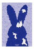 Klein Rabbit | Botop Blackcard | 300 Pieces | Jigsaw Puzzle - Puzzles +