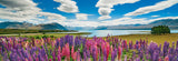 Lake Tekapo - Alexander Von Humboldt | Heye | 1000 Pieces | Panorama Jigsaw Puzzle - Puzzles +
