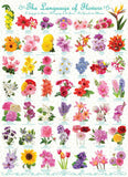 Language Of Flowers | Eurographics | 1000 Pieces | Jigsaw Puzzle - Puzzles +