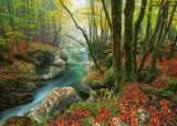 Little Brook - Magic Forests | Nicolas Alexander Otto | Heye | 1000 Pieces | Jigsaw Puzzle - Puzzles +