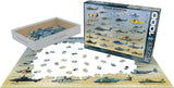 Military Helicopters | Eurographics | 1000 Pieces | Jigsaw Puzzle - Puzzles +