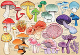 Mushroom Mania - Mirri Rowland | House Of Puzzles | 1000 Pieces | Jigsaw Puzzle - Puzzles +