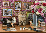 My Cute Kitty | Ravensburger | 1000 Pieces | Jigsaw Puzzle - Puzzles +