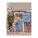 Nantucket - Gray Malin | Galison | 1000 Pieces | Jigsaw Puzzle Book - Puzzles +