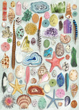 Natural Curiosities | The Art File | Gibsons | 1000 Pieces | Jigsaw Puzzle - Puzzles +