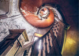 Oak Spiral - Lost Places | Ravensburger | 1000 Pieces | Jigsaw Puzzle - Puzzles +