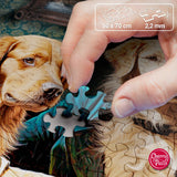 Old Friends | CherryPazzi | 1000 Pieces | Jigsaw Puzzle - Puzzles +