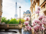 Paris Skyline Photo | Ravensburger | 500 Pieces | Jigsaw Puzzle - Puzzles +
