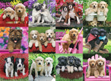 Puppy Pals | Ravensburger | 500 Pieces | Jigsaw Puzzle - Puzzles +