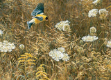 Queen Anne's Lace and American Goldfinch - Robert Bateman | Cobble Hill | 500 Pieces | Jigsaw Puzzle - Puzzles +