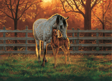 Quiet Time - Chris Cummings | Cobble Hill | 500 Pieces | Jigsaw Puzzle - Puzzles +
