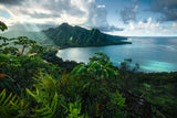 Hawaiian Viewpoint | Ravensburger | 5000 Pieces | Jigsaw Puzzle