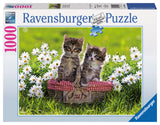 Picnic In The Meadows | Ravensburger | 1000 Pieces | Jigsaw Puzzle