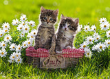 Picnic In The Meadows | Ravensburger | 1000 Pieces | Jigsaw Puzzle