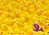 Rubber Ducks - Challenge | Ravensburger | 1000 Pieces | Jigsaw Puzzle - Puzzles +