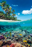Summer Paradise | Clementoni | 1000 Pieces | Jigsaw Puzzle - Puzzles +