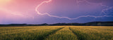 Summer Thunderstorm | Nature Edition | Ravensburger | 500 Pieces | Panorama Jigsaw Puzzle - Puzzles +