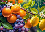 Sunny Fruits | CherryPazzi | 1000 Pieces | Jigsaw Puzzle - Puzzles +