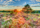 Sunset On The Heath | Schmidt | 1000 Pieces | Jigsaw Puzzle - Puzzles +